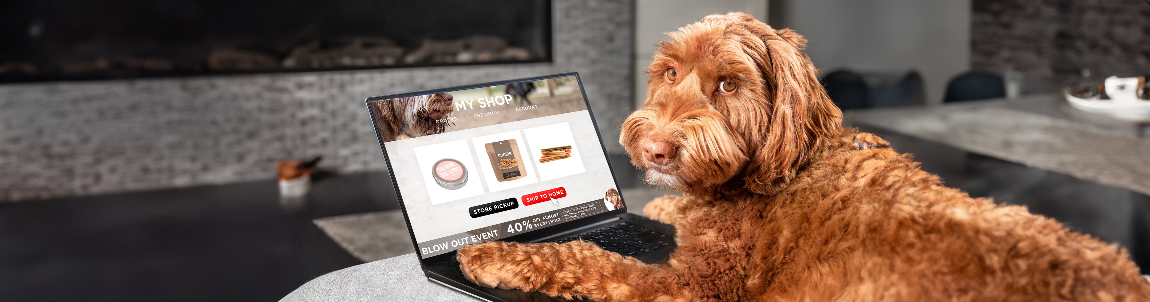 Dog lying on a person's lap with a laptop showing a website on a kitchen counter.